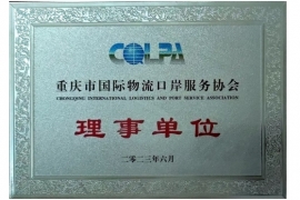 重庆市国际物流口岸服务协会理事单位
