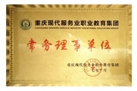 重庆现代服务业职业教育集团常务理事单位